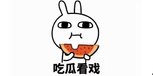 娱乐吃瓜酱玩梗,娱乐吃瓜酱带你领略网络梗界的风花雪月